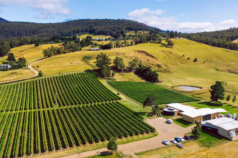 Tasmanian Wine Tour - Attractions 4