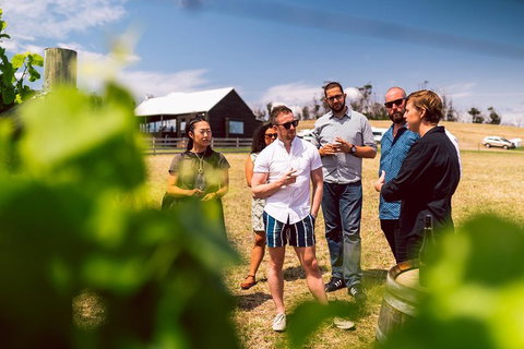 Tasmanian Wine Tour - Attractions 5