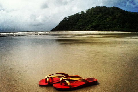 Daintree And Cape Tribulation Full Day Guided Tour - Attractions 4