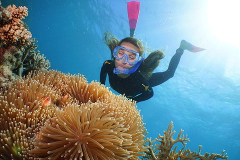 Quicksilver Outer Great Barrier Reef Snorkel Cruise From Port Douglas - Attractions 2