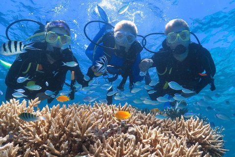 Quicksilver Outer Great Barrier Reef Snorkel Cruise From Port Douglas - Attractions 4