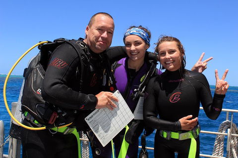 Quicksilver Dive 4 Day PADI Learn To Dive Course - Attractions 0
