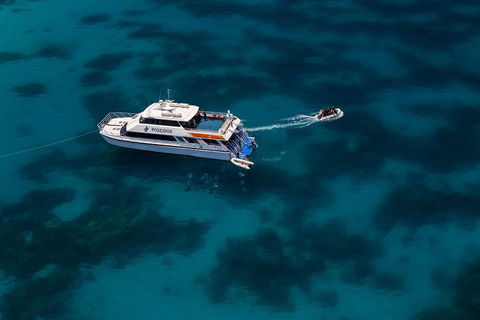 Quicksilver Dive 4 Day PADI Learn To Dive Course - Attractions 1
