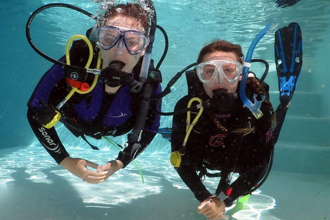 Quicksilver Dive 4 Day PADI Learn To Dive Course - Attractions 2