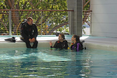 Quicksilver Dive 4 Day PADI Learn To Dive Course - Attractions 3