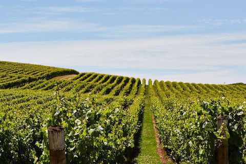 West Tamar Wine Tour - Attractions 2