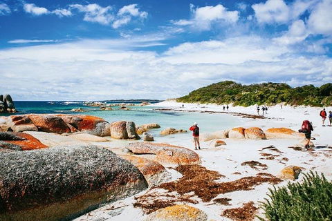 Wineglass Bay Private Charter Service - Attractions 3
