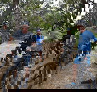 Fully guided E-Mountain Bike Tour on the beautiful Mornington Peninsula. - Attractions