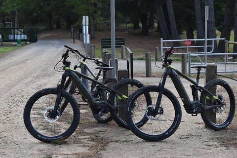 Fully Guided E-Mountain Bike Tour On The Beautiful Mornington Peninsula. - Attractions 2