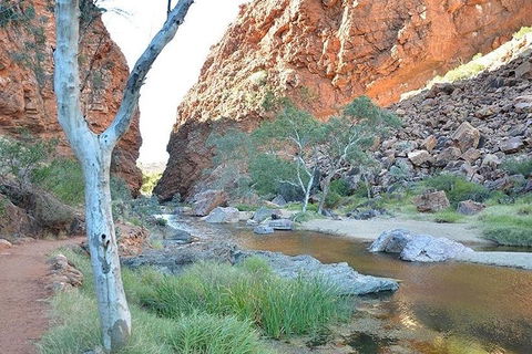 Alice Springs, Uluru Ayers Rock & Kings Canyon 8 Days Touring Package - Attractions 2