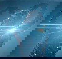 Great Opera Hits at the Sydney Opera House - Attractions