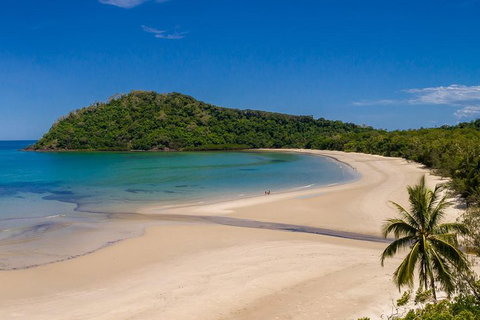 Daintree And Cape Tribulation Tour From Cairns - See Attractions 1