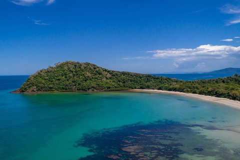 Daintree And Cape Tribulation Tour From Cairns - See Attractions 4