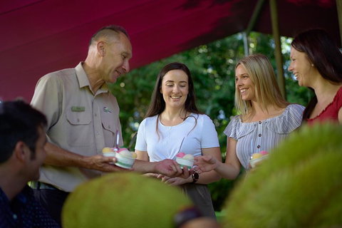 Daintree And Cape Tribulation Tour From Cairns - See Attractions 5