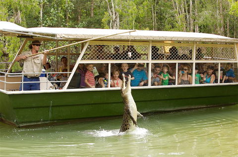 Hartley's Crocodile Adventure Half-Day Tour - Attractions 0