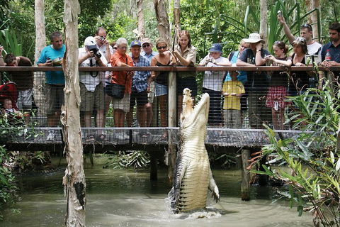 Hartley's Crocodile Adventure Half-Day Tour - Attractions 1