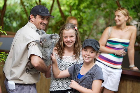 Hartley's Crocodile Adventure Half-Day Tour - Attractions 3