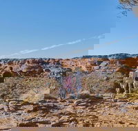 The Amazing Kings Canyon 4-Hours Walking Tour and Hike - See Attractions