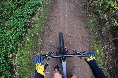 Explore Downhill Mountain In 3-Hour Bike Tour From Hobart - Attractions Las Vegas 2