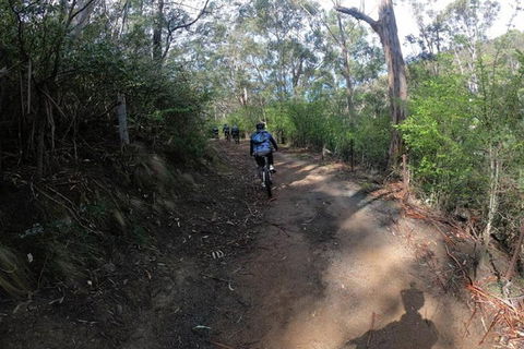 Explore Downhill Mountain In 3-Hour Bike Tour From Hobart - Attractions Las Vegas 3