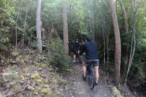Explore Downhill Mountain In 3-Hour Bike Tour From Hobart - Attractions Las Vegas 4