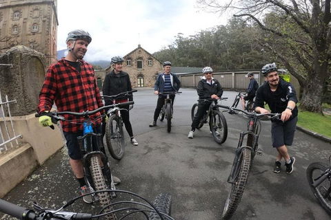 Explore Downhill Mountain In 3-Hour Bike Tour From Hobart - Attractions Las Vegas 5