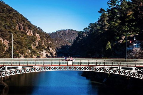 3.5 Hours Walking Tour To Cataract Gorge With Local Guide - Attractions 4