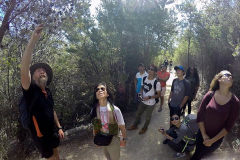 Active Day Tour One-Way From Launceston To Hobart Via Wineglass Bay - Attractions 0