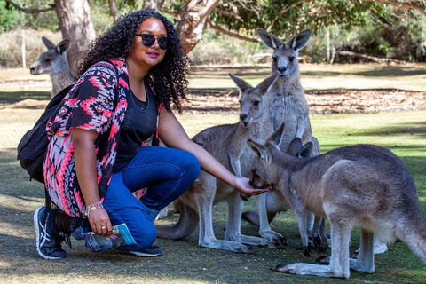 3-Day Tasmania Combo: Hobart To Launceston Active Tour - Attractions 5