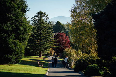 Private Royal Tasmanian Botanical Gardens Walking Tour - Attractions 1