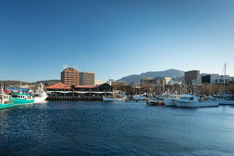 Hobart City Sightseeing Tour Including MONA Admission - See Attractions 0