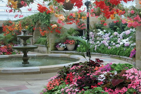 Hobart City Sightseeing Tour Including MONA Admission - See Attractions 3