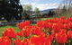 Hobart City Sightseeing Tour Including MONA Admission - thumb 4