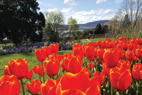Hobart City Sightseeing Tour Including MONA Admission - See Attractions 4