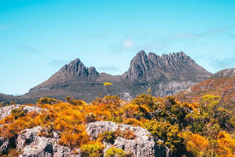 Cradle Mountain National Park Day Tour From Launceston - Attractions 1