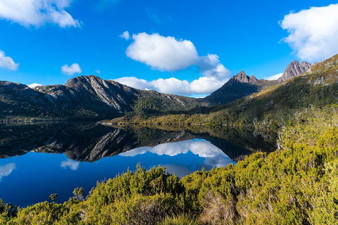 Cradle Mountain National Park Day Tour From Launceston - Attractions 3