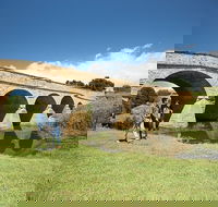 Bonorong Wildlife Park and Richmond Afternoon Tour from Hobart - Attractions