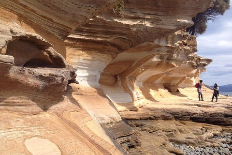 Hobart Minibus Full-Day Private Tour - Attractions 0