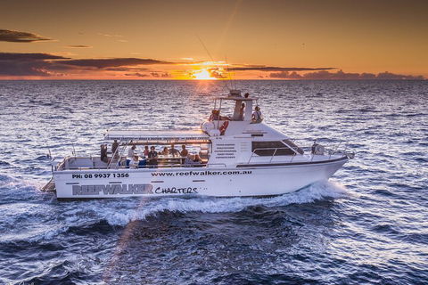 Kalbarri Sunset Coastal Cliff Cruise - Attractions 2