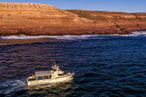 Kalbarri Sunset Coastal Cliff Cruise - Attractions 4