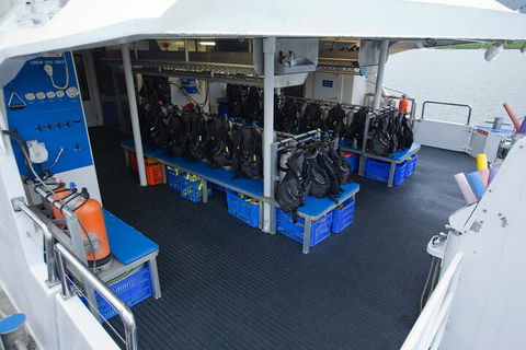 Silverswift Outer Great Barrier Reef Dive And Snorkel Cruise From Cairns - Attractions 0