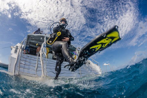 Silverswift Outer Great Barrier Reef Dive And Snorkel Cruise From Cairns - Attractions 1