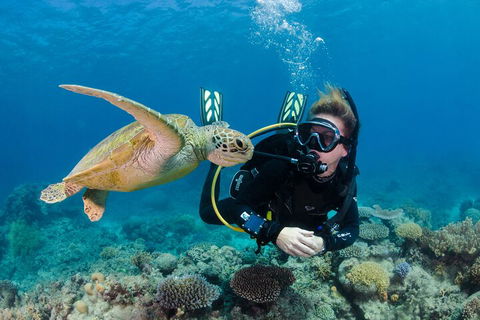 Silverswift Outer Great Barrier Reef Dive And Snorkel Cruise From Cairns - Attractions 2
