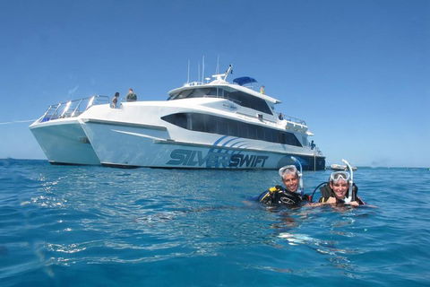 Silverswift Outer Great Barrier Reef Dive And Snorkel Cruise From Cairns - Attractions 4