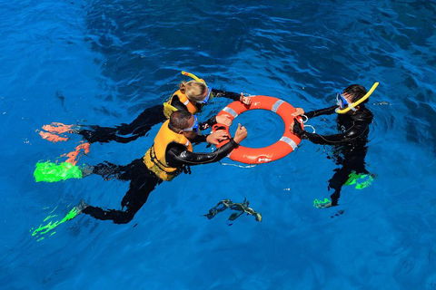 Great Barrier Reef Adventure From Cairns - Attractions 3