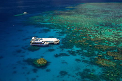 Great Barrier Reef Adventure From Cairns - Attractions 4