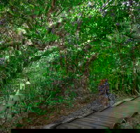 Green Island Eco Adventure from Cairns - Attractions