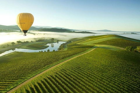 Half-Day Or Full-Day Tour With Private Guide From Melbourne - Attractions 4