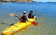 Penguin And Seal Islands Sea Kayaking Experience - thumb 5