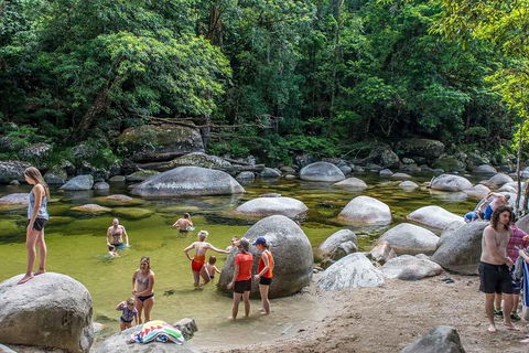 Cape Tribulation, Mossman Gorge, And Daintree Rainforest Day Trip From Cairns Or Port Douglas - Attractions 1
